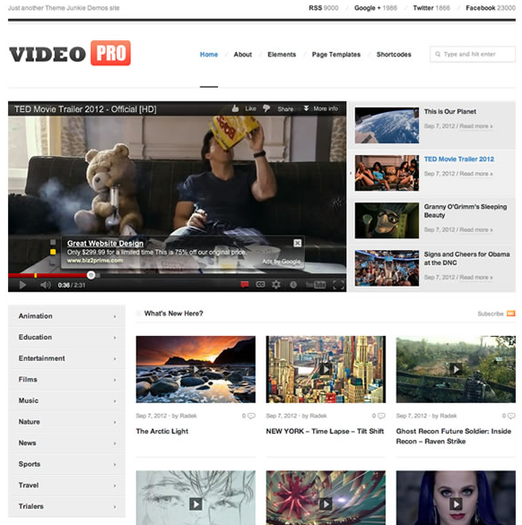 VideoPro theme