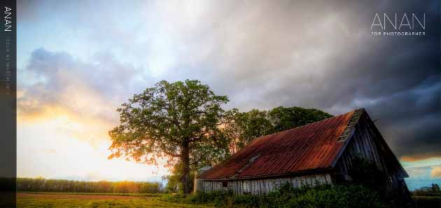 ANAN WordPress Template For Photography Creative Portfolio (630x297)