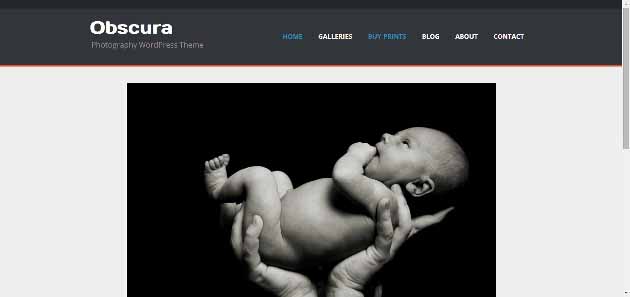 Obscura   Photography WordPress Theme (630x297)