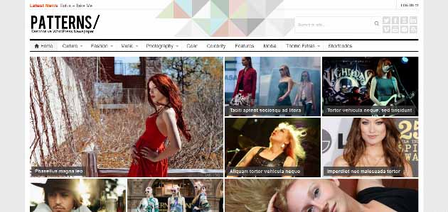 Patterns_WordPress_Magazine_an2014-04-29_16-31-34 (630x299)